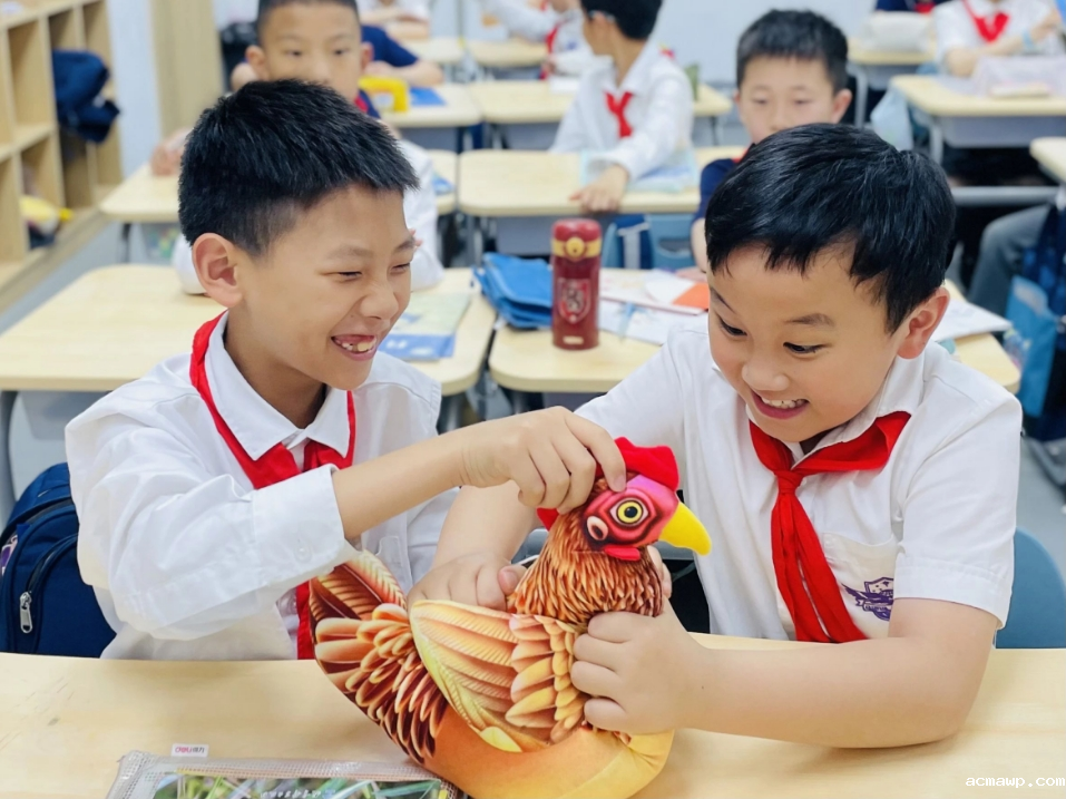 acmawp的小学生都这么“不务正业”吗？