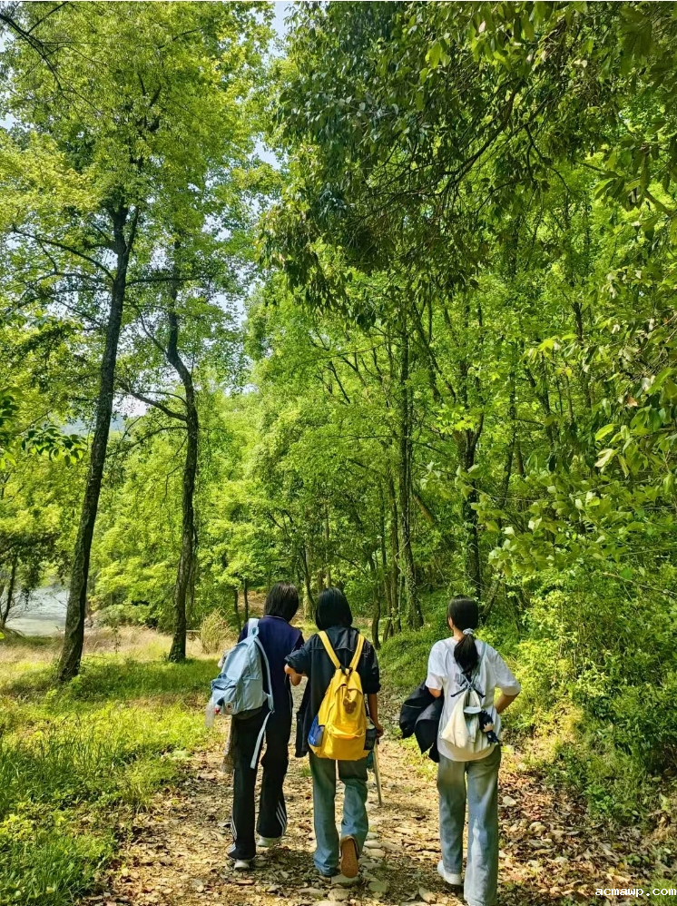 从收纳到义工....原来最会“整活”的课是Ta！