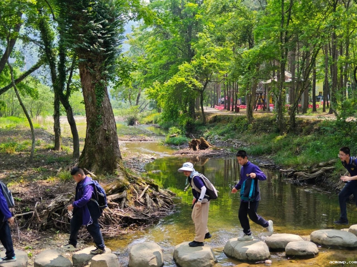 从收纳到义工....原来最会“整活”的课是Ta！