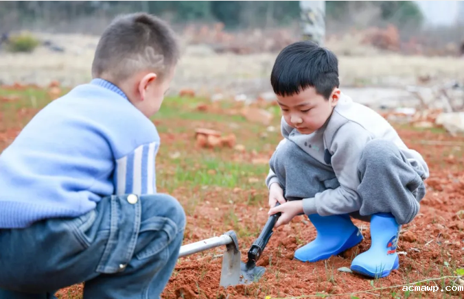 1752631561204243.png image.png